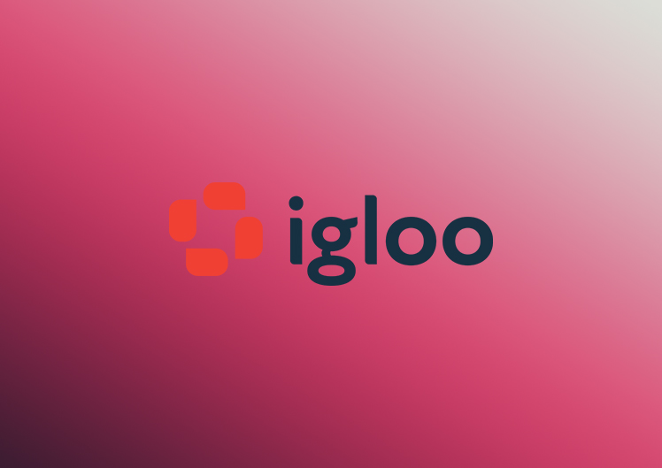 Igloo logo
